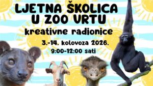 Slika događaja